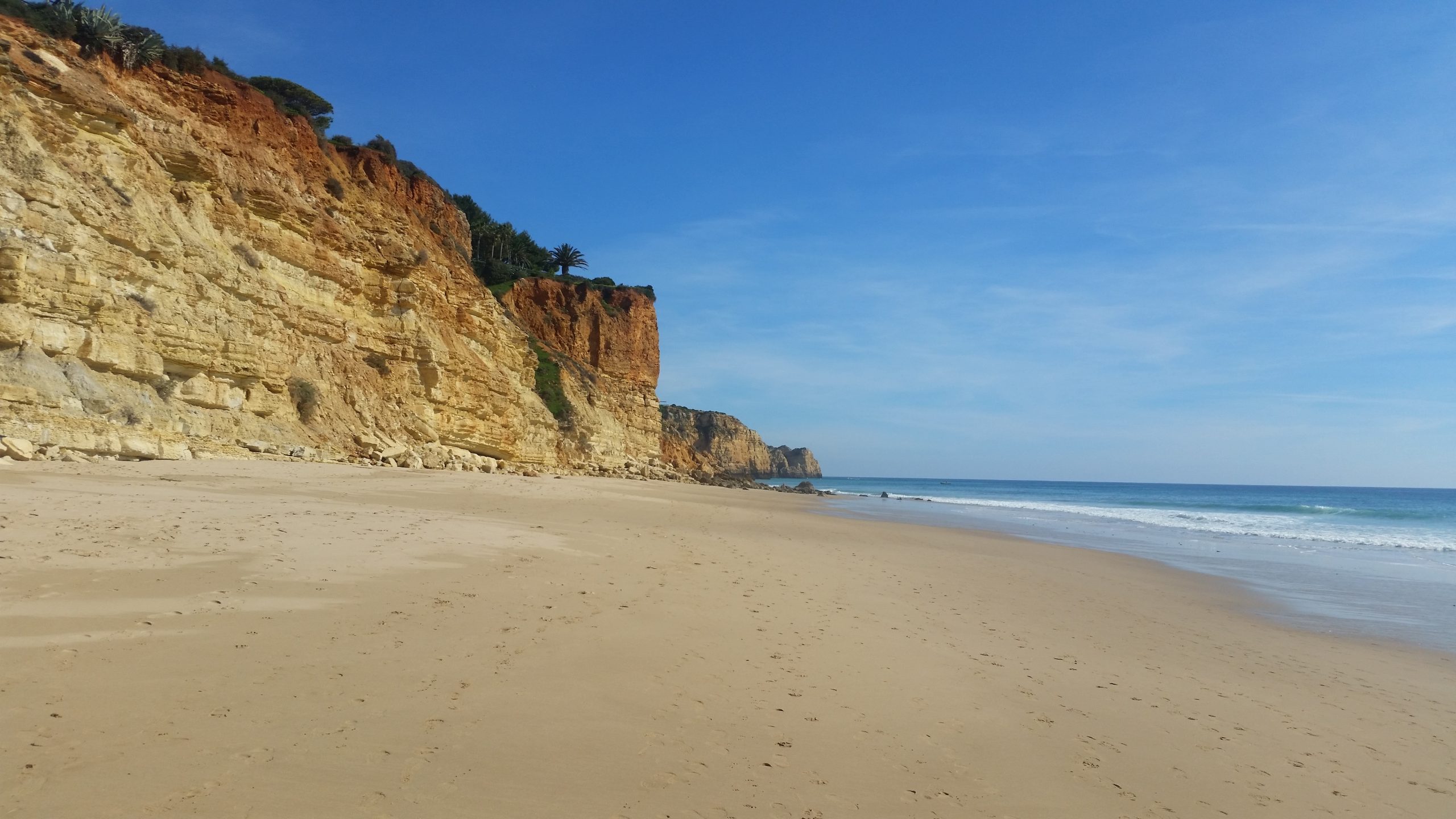 Shell Apartment - Alojamento Lagos - Porto de Mós - Algarve