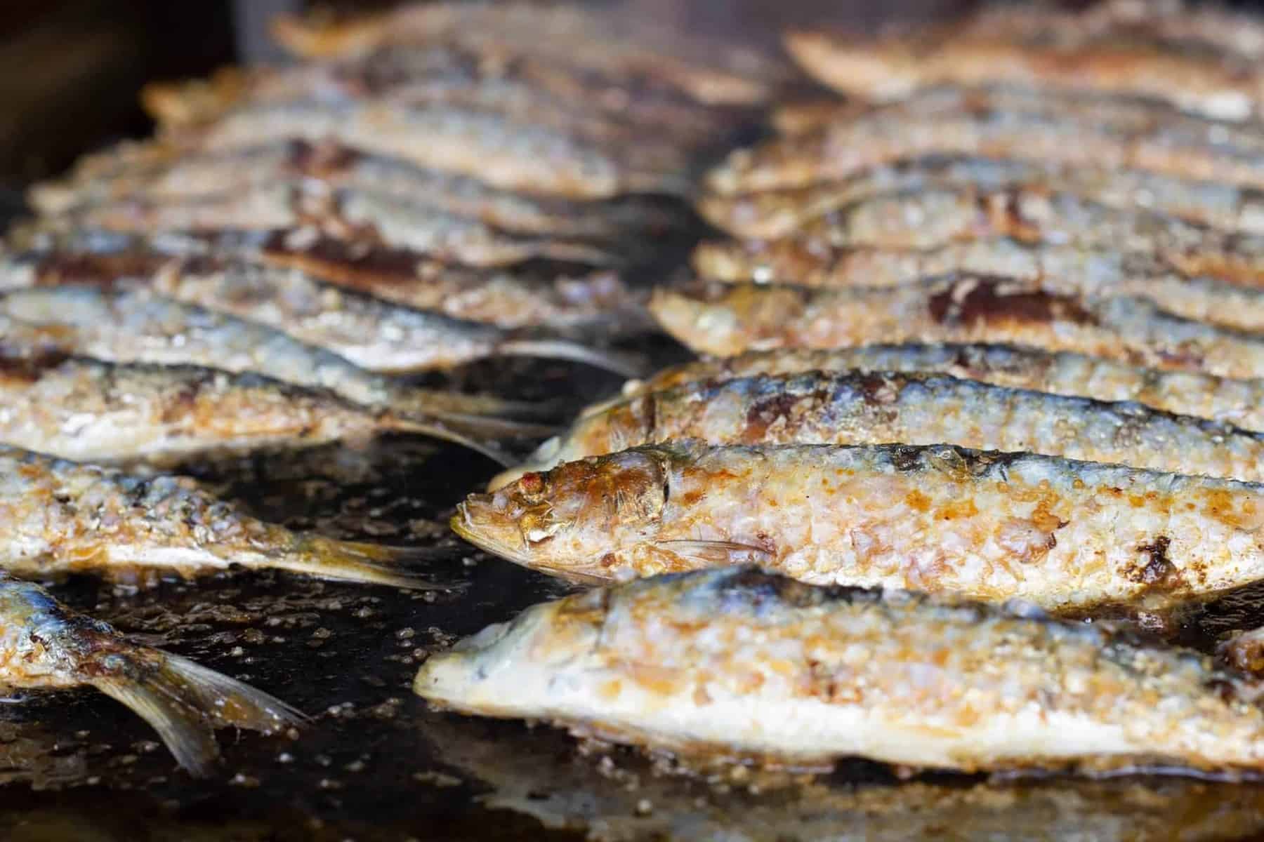 Shell Apartment - Alojamento Lagos - Gastronomia - Algarve